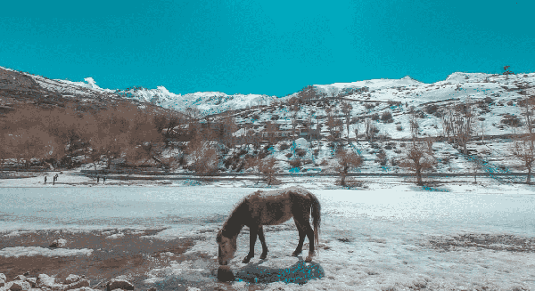 Spiti Valley Roadtrip in Winter