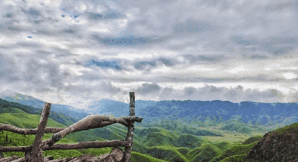 Dzukou Valley Trek - Nagaland
