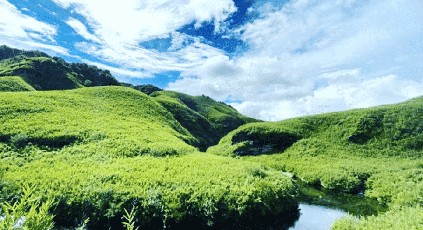 Dzukou Valley Trek - Nagaland