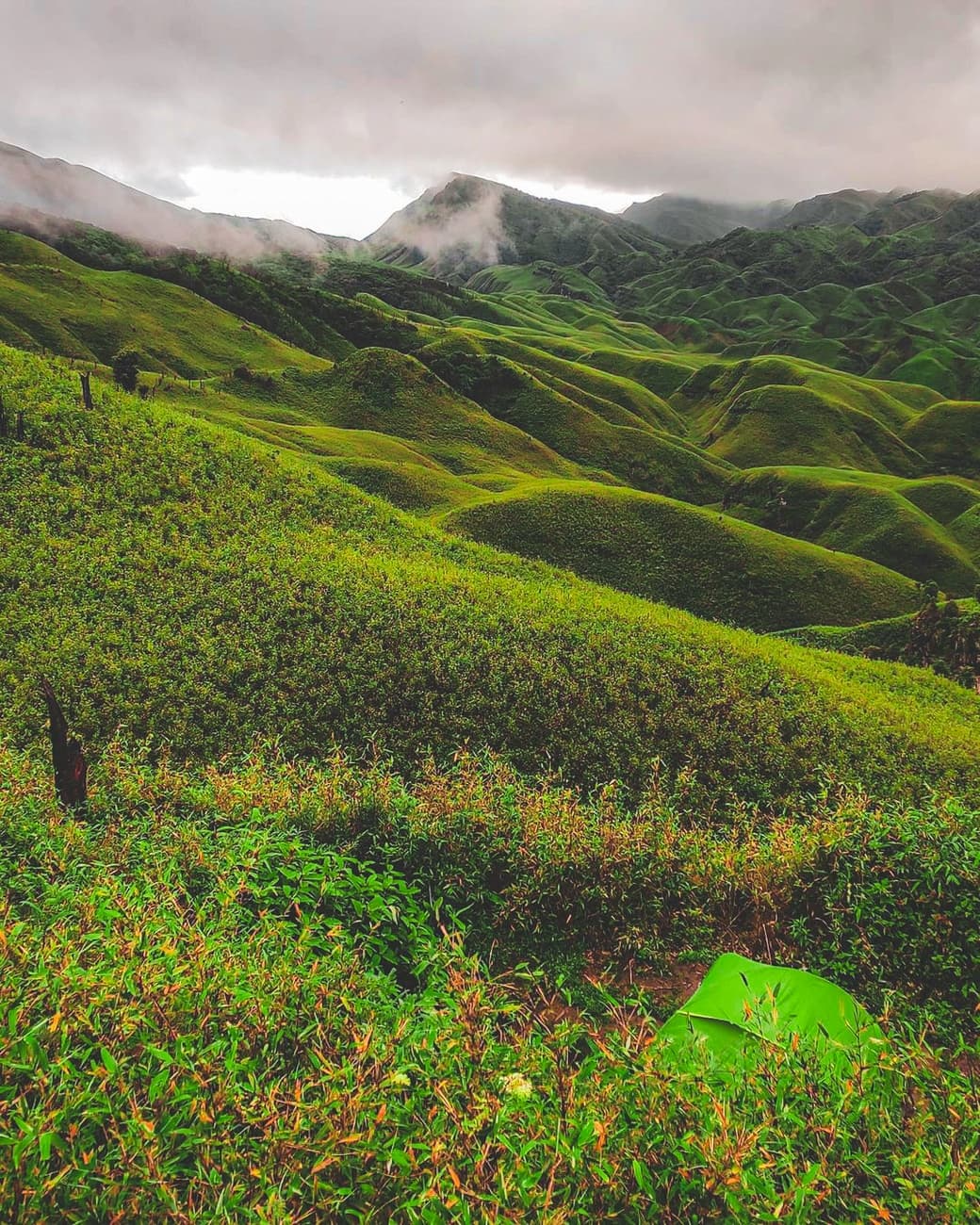 Dzukou Valley Trek - Nagaland | Plan the Unplanned