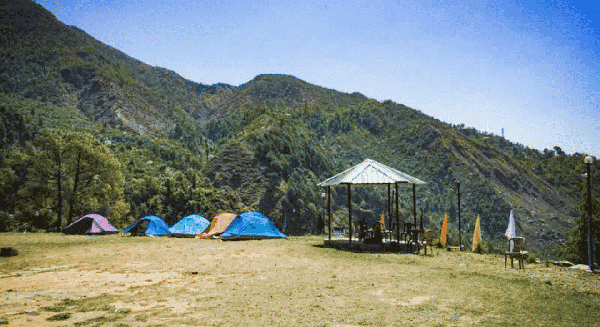 Paragliding & Trekking at Bir Billing
