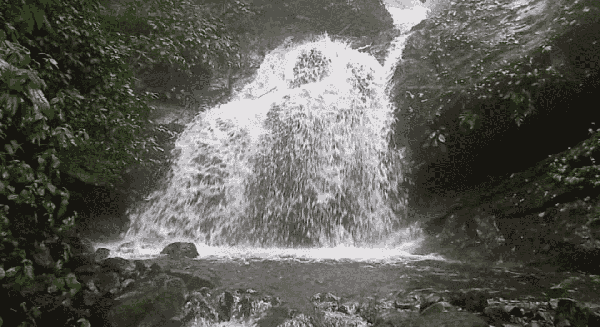Ranipuram Trek & Offbeat Kasargod Exploration