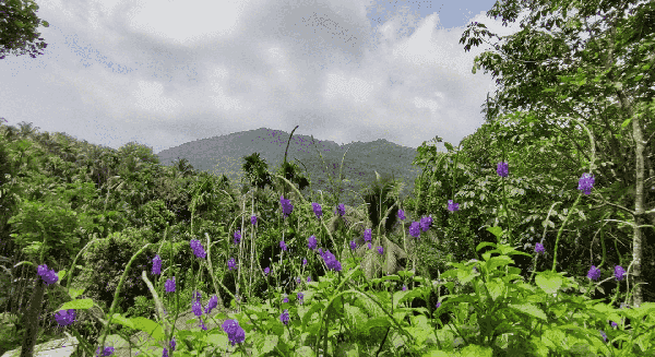 Ranipuram Trek & Offbeat Kasargod Exploration