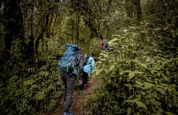 Nagaland Kohima Tour
