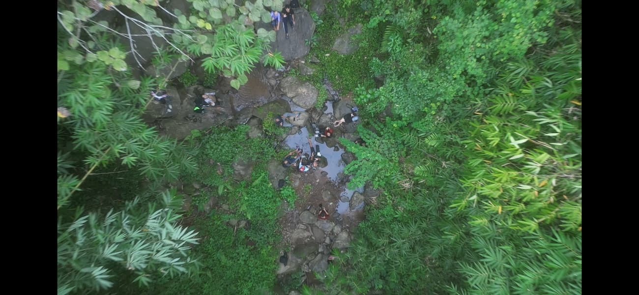 Jungle Trek and Offbeat Assam Trip Jungle Trek and Offbeat Assam Trip