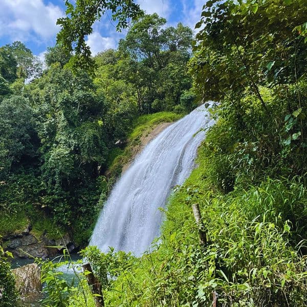 Coorg Nelji Hill Trek