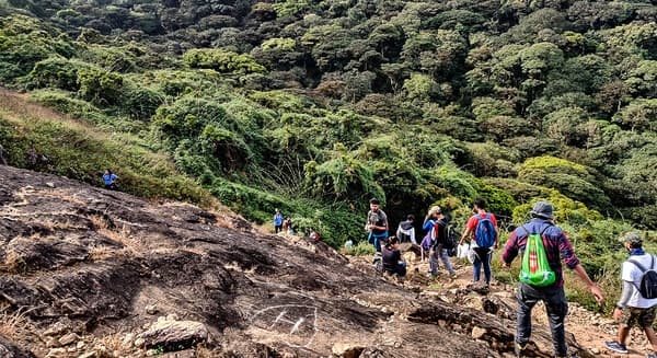 Kumara Parvatha Trek - Beedehalli to Kukke