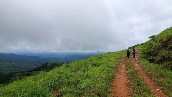 Kurinjal Peak Trek