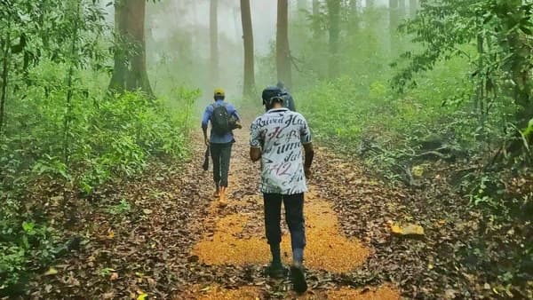 Kurinjal Peak Trek