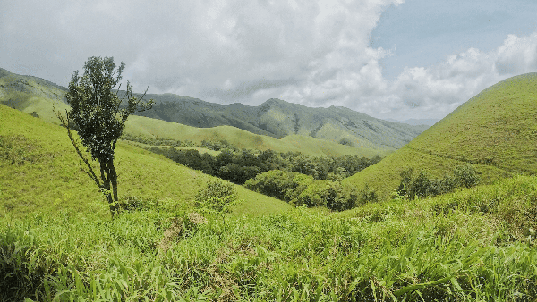 Kudremukh New Year Trek