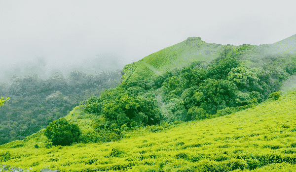Bandaje Falls Trek via Valambra Ujire
