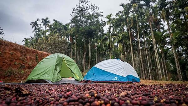 Kotebetta Coorg Trek photo 1