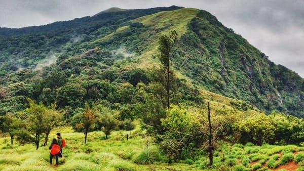 Nishani Motte Coorg Trek