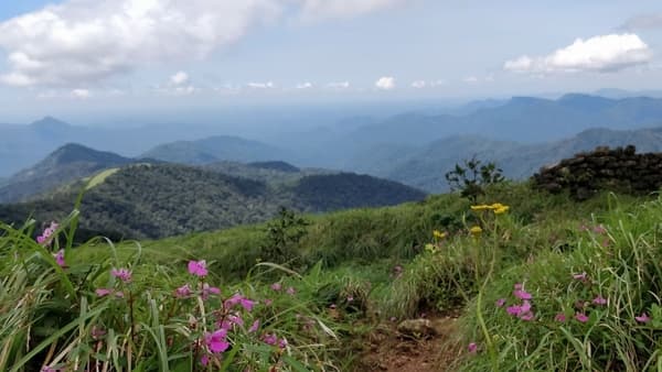 Nishani Motte Coorg Trek