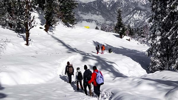 Kedarkantha Trek