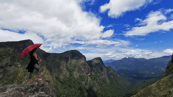 Vattavada Munnar Trek and Camping photo 2