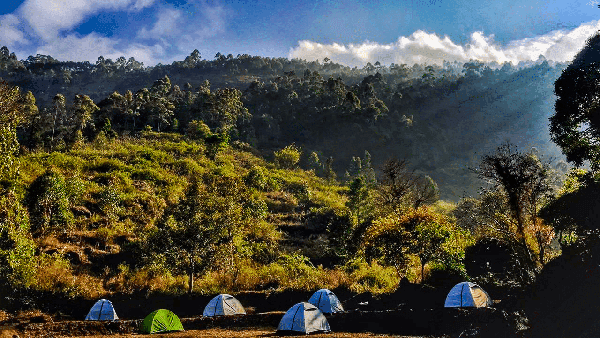Vattavada Munnar Trek and Camping photo 3