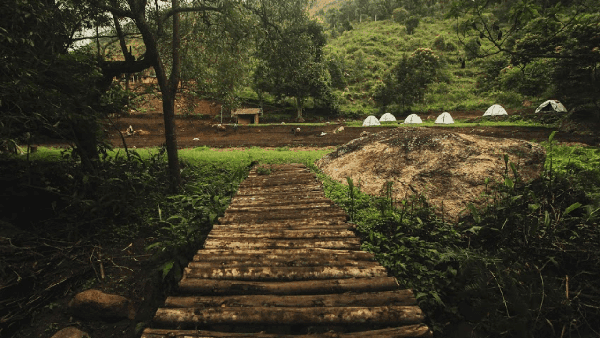 Vattavada Munnar Trek and Camping photo 4