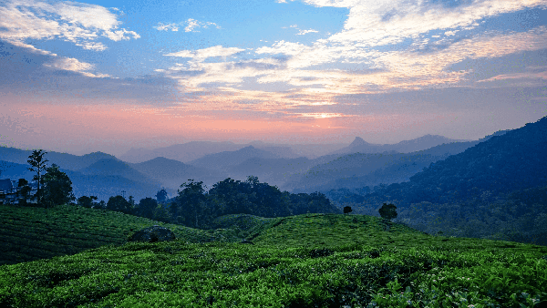 Vattavada Munnar Trek and Camping photo 1