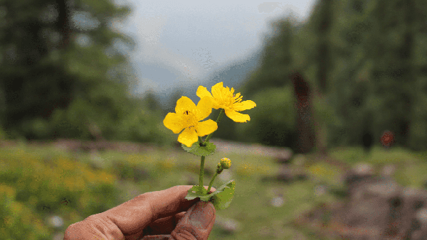 Grahan Village Trek