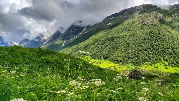 Valley of Flowers Trek