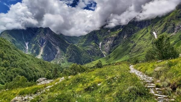 Valley of Flowers Trek