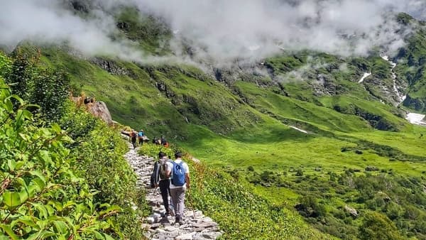 Valley of Flowers Trek