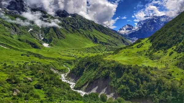 Valley of Flowers Trek