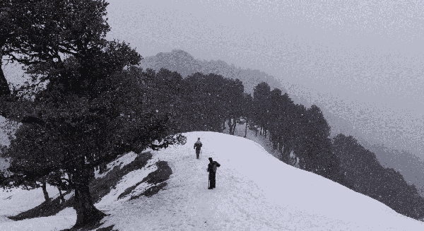 JIBHI Road Trip