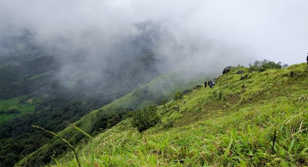 Tavoor Hills Coorg Trek