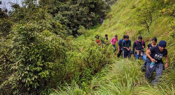 Tavoor Hills Coorg Trek