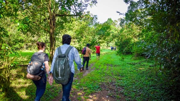 Agumbe Exploration
