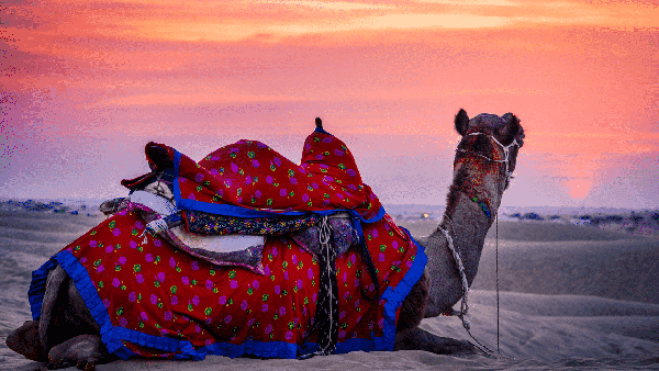 Rajasthan Tour photo 2