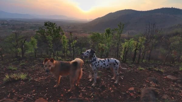 Pyramid Hill Trek photo 1