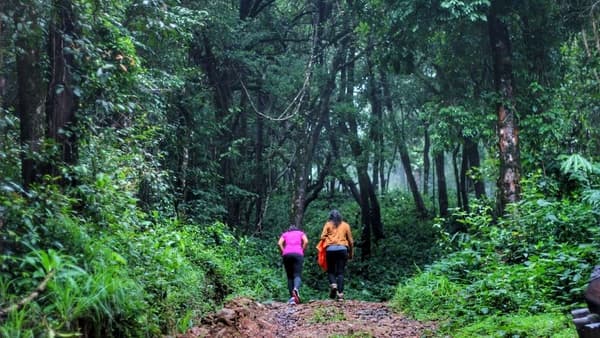 Kopatty Coorg Trek photo 1