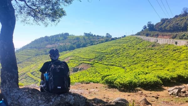 Camp Amidst The Nilgiris Valley photo 3