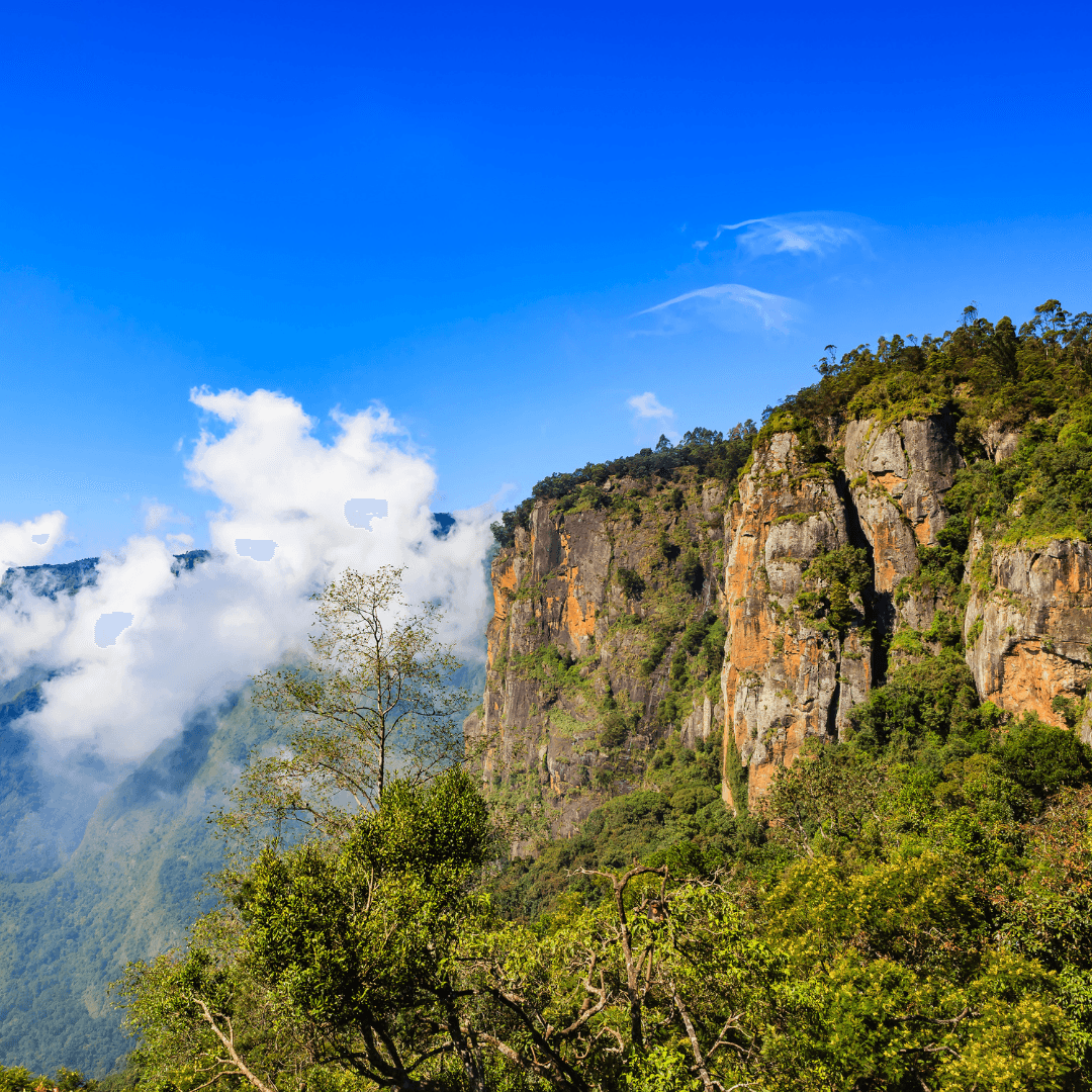 Kodaikanal - Poombarai Offbeat Adventure Trip Kodaikanal - Poombarai Offbeat Adventure Trip