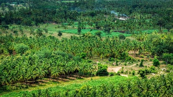 Kuntibetta Sunrise Trek photo 2