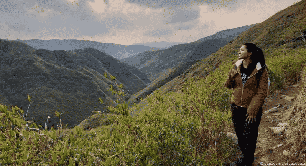 Dzukou Valley Trek - Nagaland