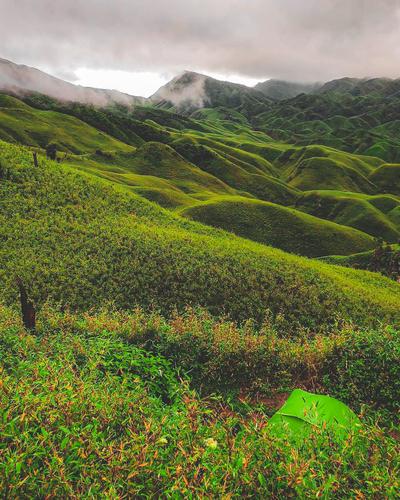 Dzukou Valley Trek - Nagaland