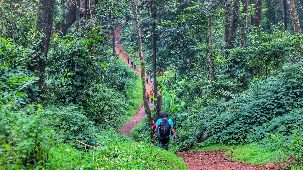 coorg trek difficulty level