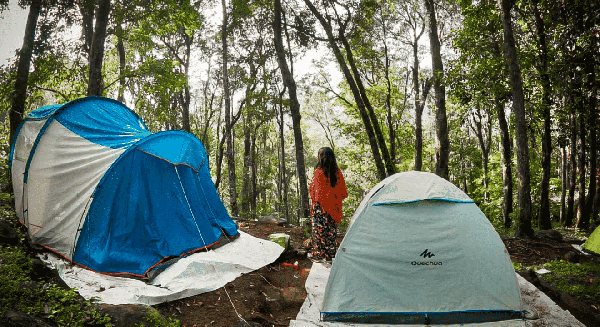 Wayanad Trek  & Camping