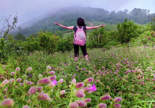 Shephered's Trail Coorg Trek