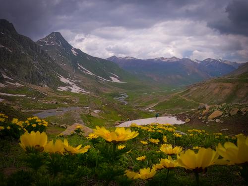 Kashmir Great Lakes Trek