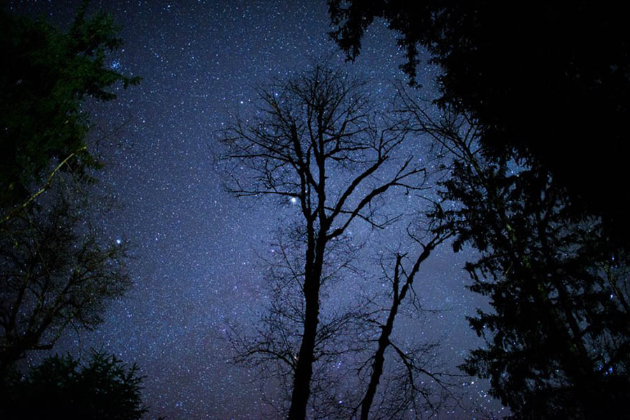 Stargazing