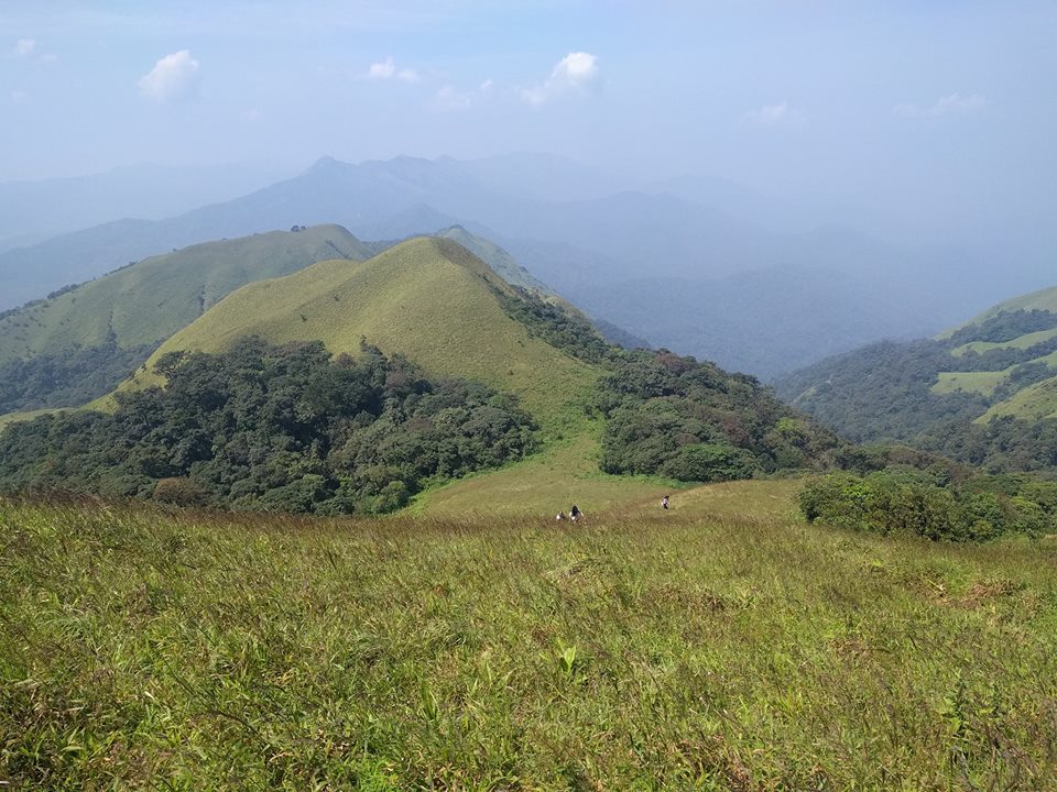 Coorg