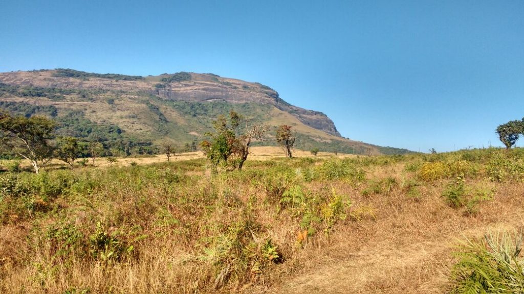 Kotebetta Coorg Trek