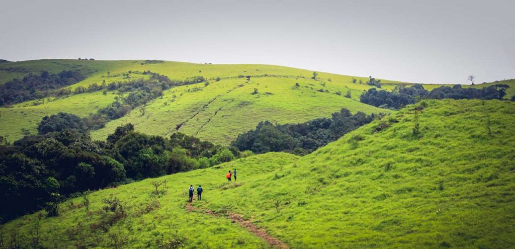 Kodachadri Trek - Plan The Unplanned