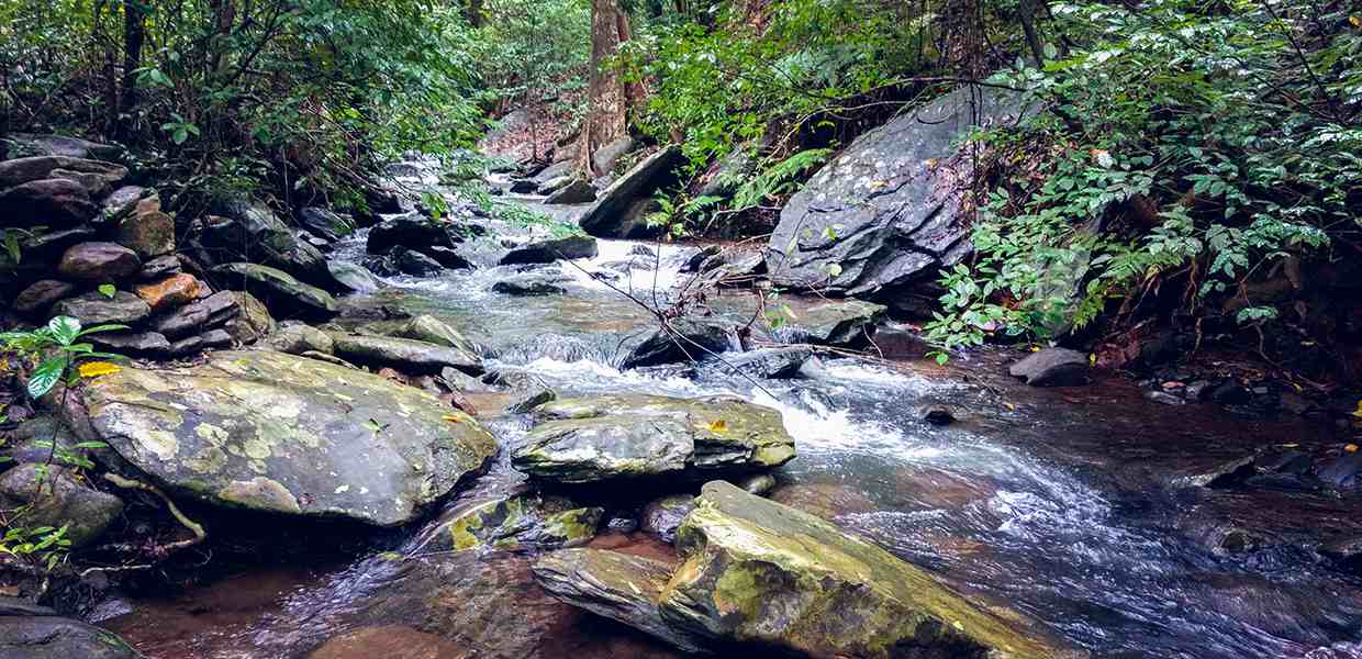 Kudremukh Trek - Plan The Unplanned