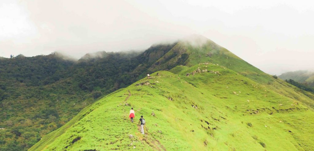 8 Reasons to Go on a Trek Right Away | Munnar - Top Station